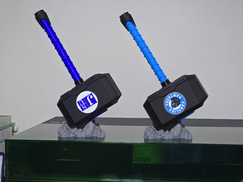 Carolina Panthers Hammer with Stand