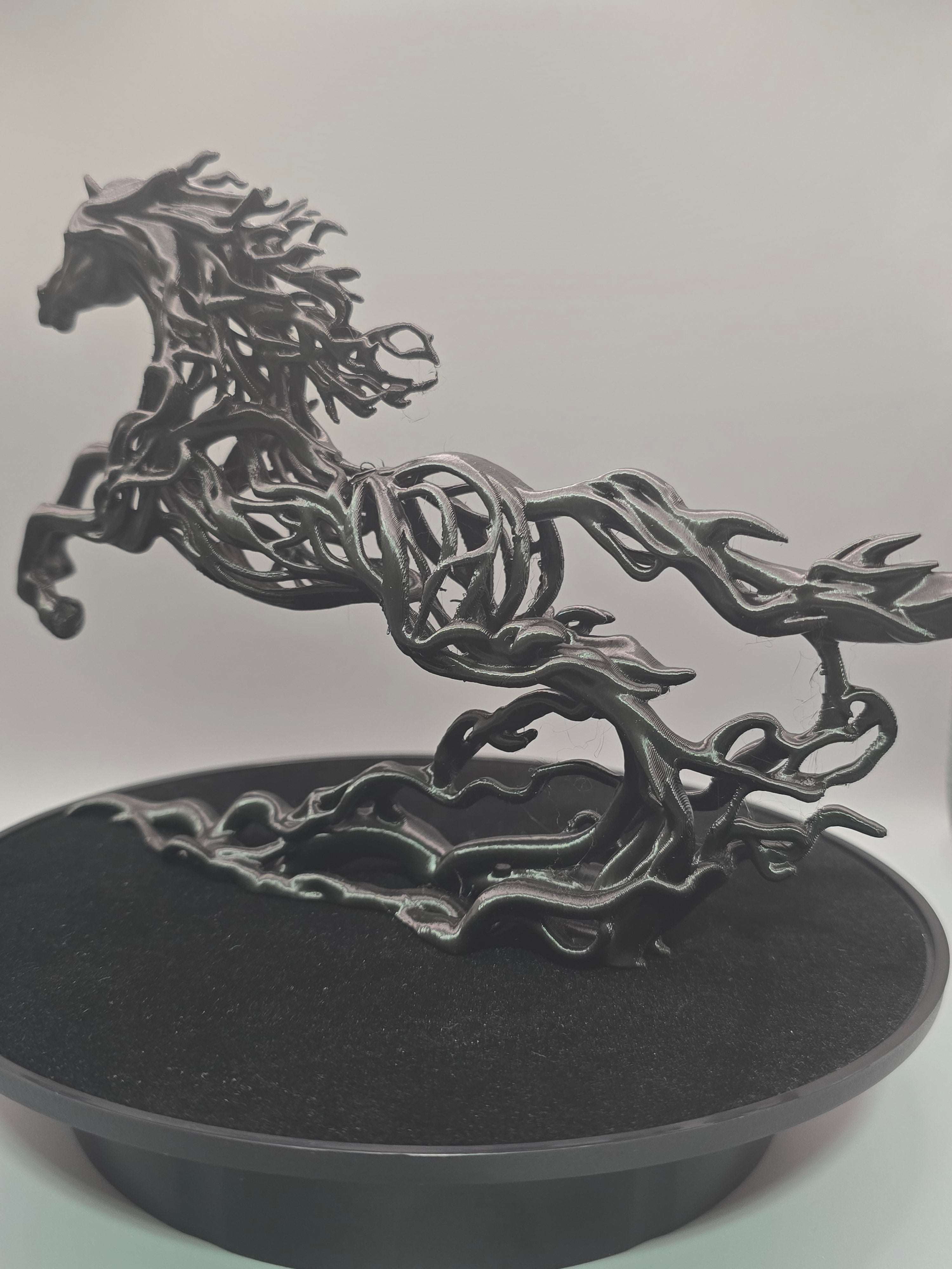 Black Fire Horse